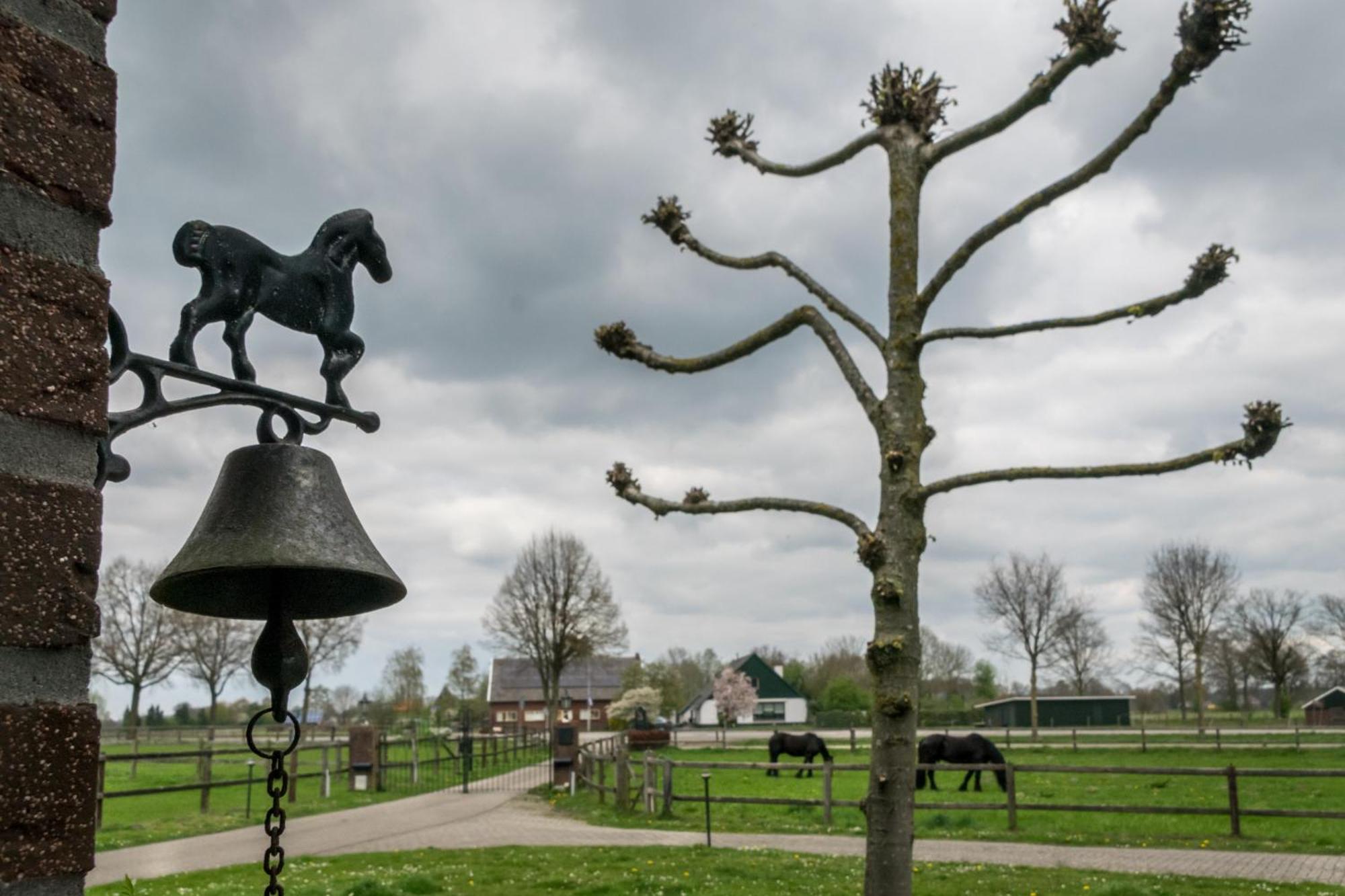 Recreatieoord Hippique Vila Westendorp Quarto foto